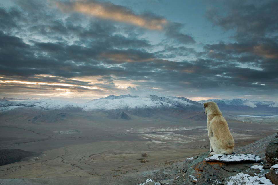 Hasta que no veas las 37 vistas más impresionantes de la Tierra no