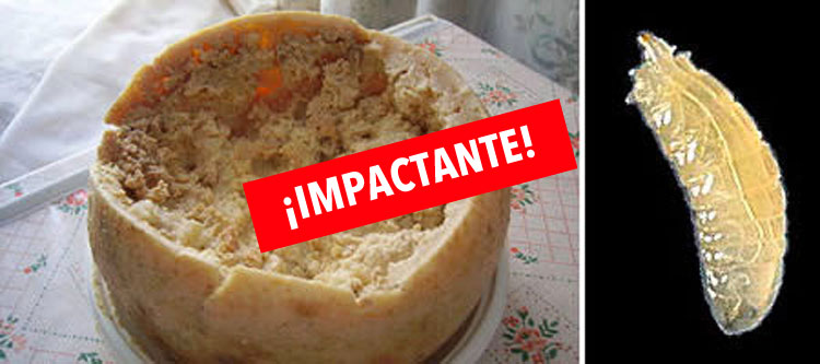 10 De Las Comidas Más Extrañas Del Mundo Mejor Que No Veas La 4