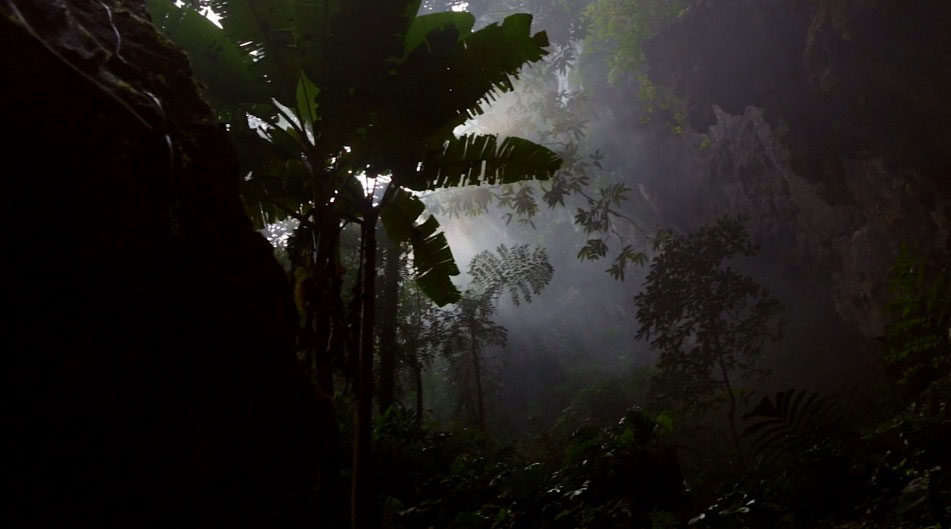 Asombrosas imágenes de la cueva más grande del mundo que parecen salir de la película Avatar