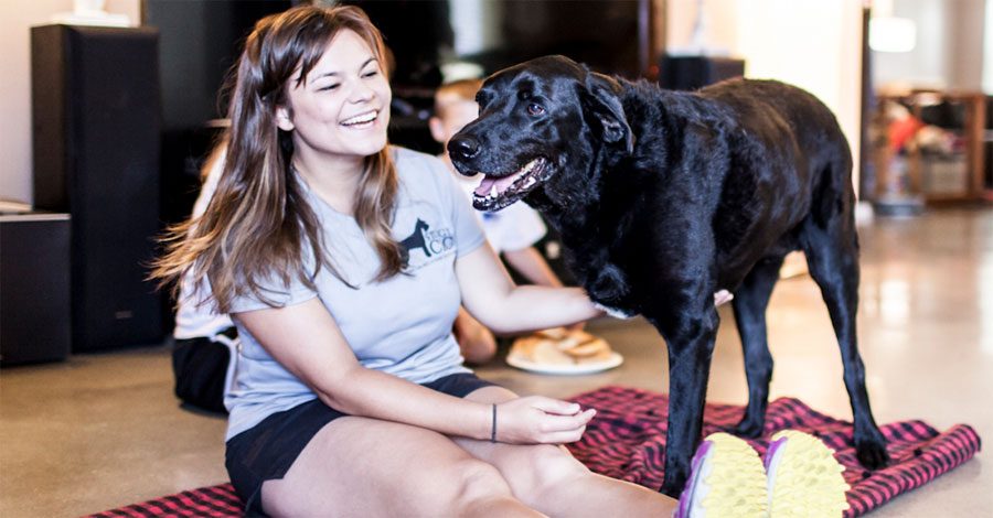 Desgarradora despedida con este homenaje con fotos a este adorable perro de tres patas