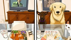 8 dibujos que nos dicen cómo es la vida antes y después de tener un perro